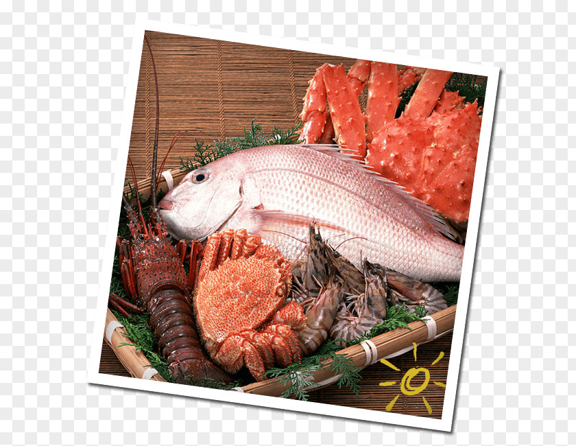 Fish Meat Seafood Nutrient PNG