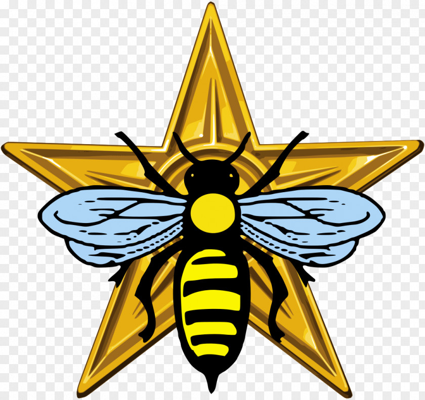 Bee Insect Wikimedia Commons Clip Art PNG