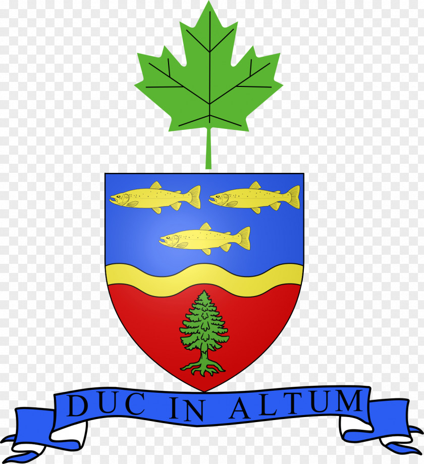 Canada Flag Of Maple Leaf T-shirt Quebec PNG