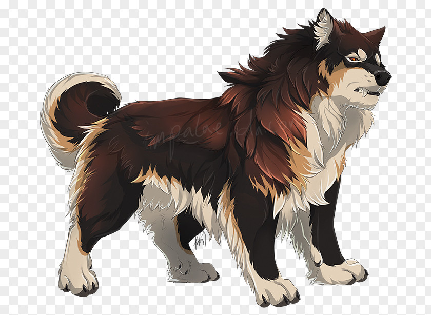 Fierce Lapponian Herder Icelandic Sheepdog Finnish Lapphund Dog Breed Eurasier PNG