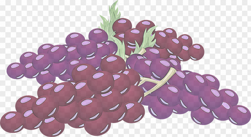 Food Lavender PNG