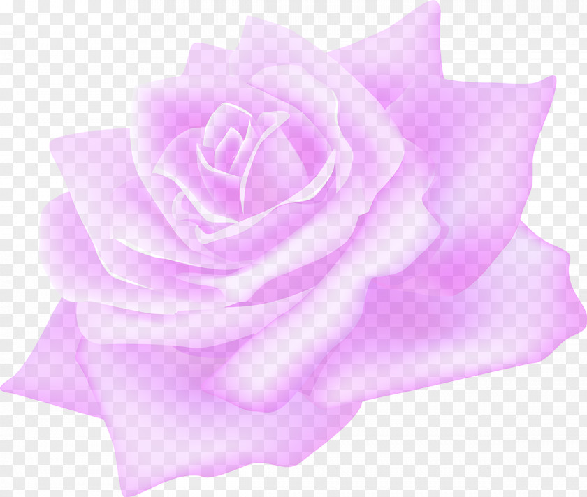 Lilac Garden Roses Flower PNG