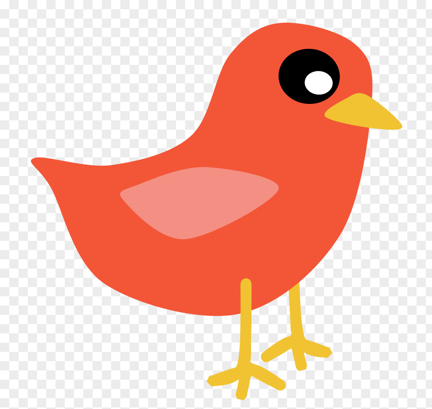 Red Cartoon Chick Eastern Bluebird Mountain Clip Art PNG