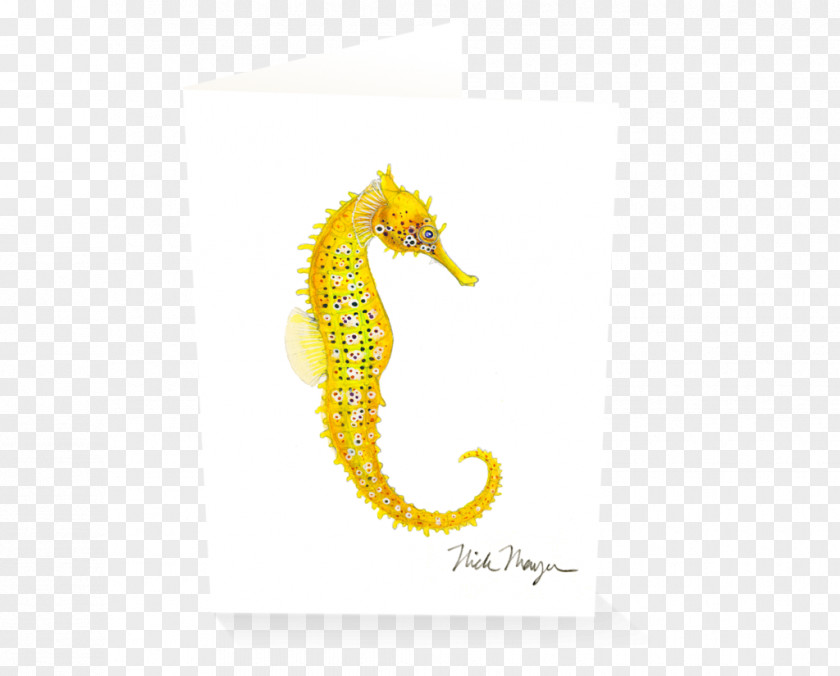 Watercolor Seahorse Pacific Big-belly Yellow Leafy Seadragon Syngnathidae PNG