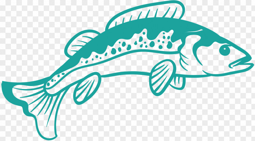 Clip Art Marine Biology Illustration Mammal Fish PNG