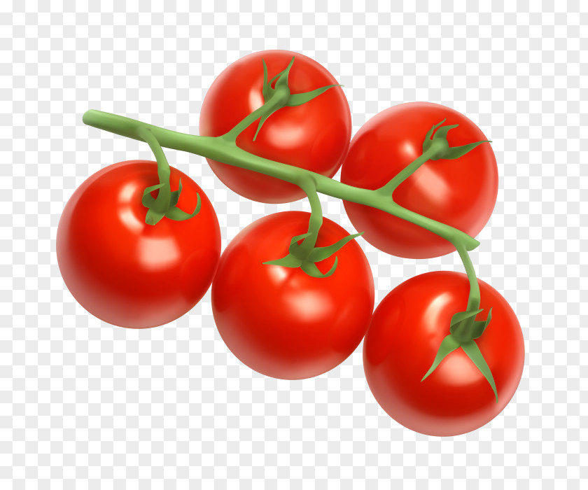 Egg Tomato Stir Fry Cherry Juice Vegetable Clip Art PNG