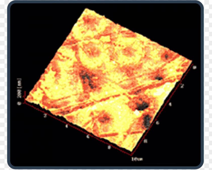 Fluoropolymer ETFE Polytetrafluoroethylene Fluorinated Ethylene Propylene Perfluoroether PNG