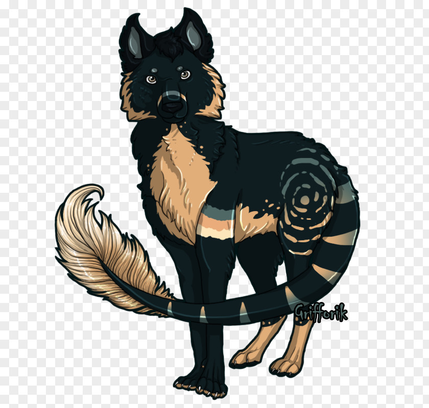 Black Norwegian Elkhound Cat Dog And PNG