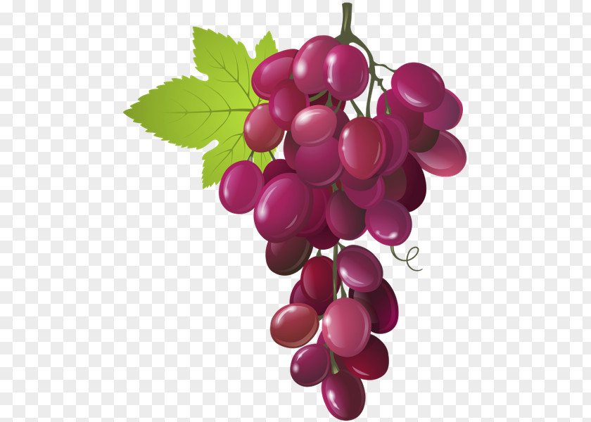 Grape Common Fig Royalty-free Clip Art PNG