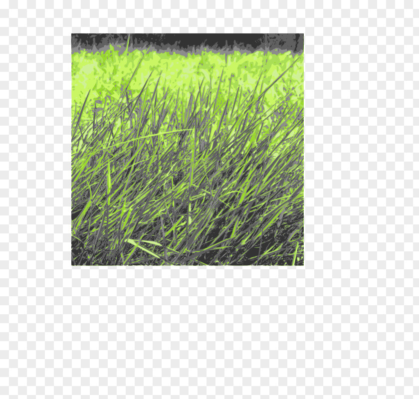 GREEN POWER Desktop Wallpaper Clip Art PNG