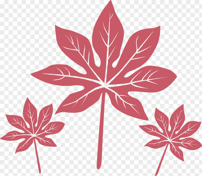 Leaf PNG