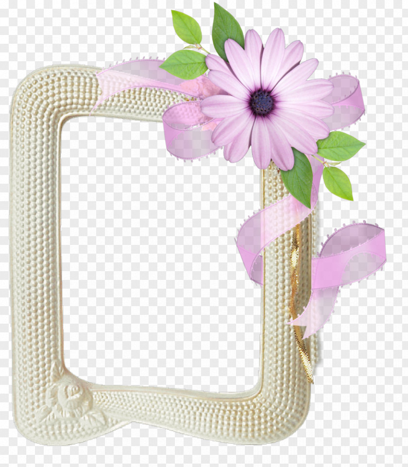 Marcos Picture Frames Photography Clip Art PNG