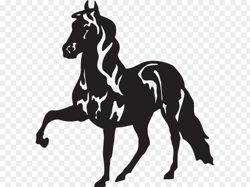 Silhouette Peruvian Paso Tennessee Walking Horse Clip Art PNG