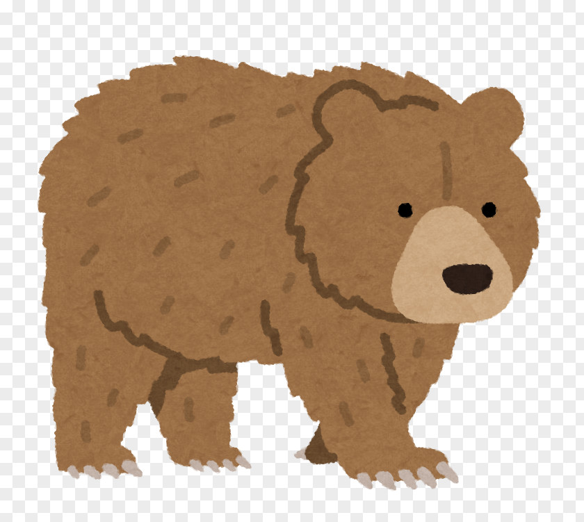 Bear Ussuri Brown クマにあったらどうするか: アイヌ民族最後の狩人・姉崎等 （株）さくら保険事務所 PNG