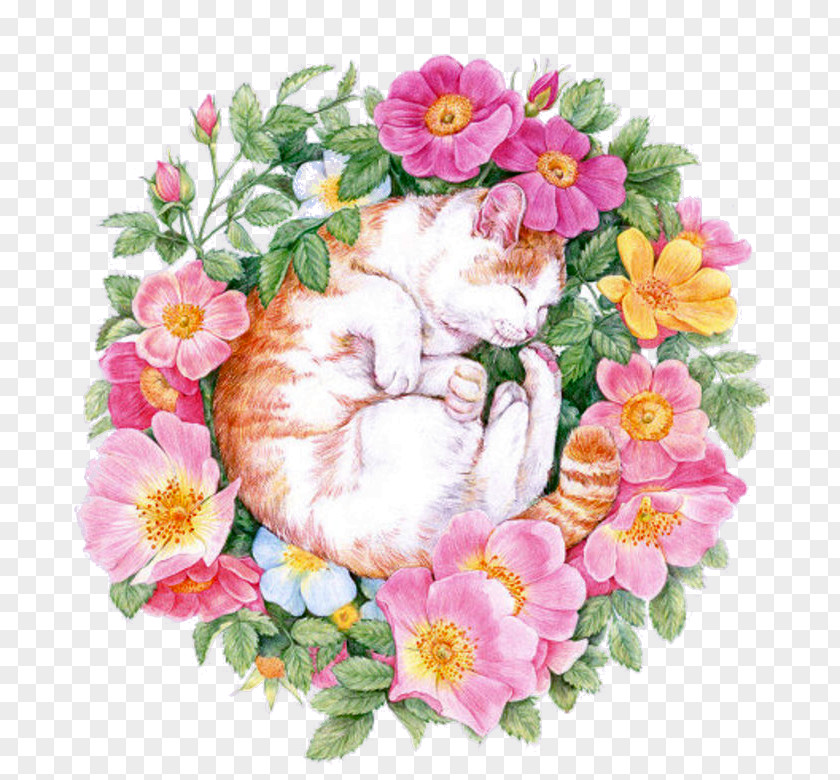 Cat Among The Flowers U82b1u4e4bu7e6a: 38u7a2eu82b1u7684u8272u925bu7b46u5716u7e6a Colored Pencil Flower Painting Drawing PNG