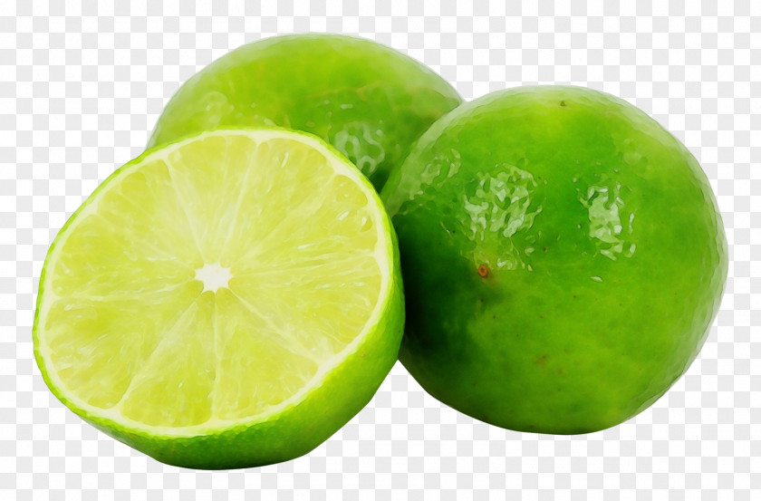 Citric Acid Plant Persian Lime Key Fruit Citrus PNG