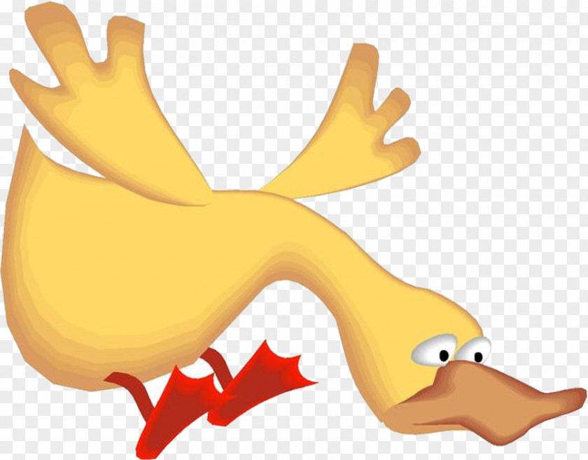 Duck Animation Clip Art PNG