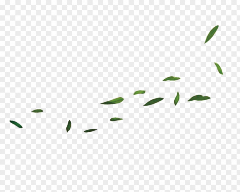 Floating Bamboo Green Leaf PNG