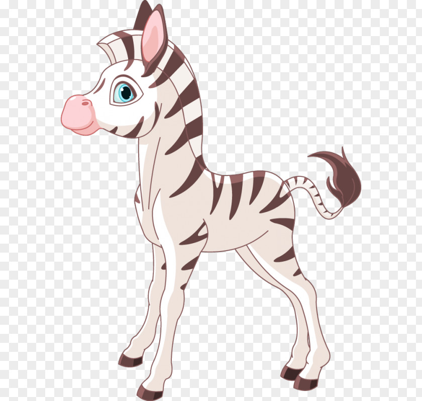 Foal Clip Art PNG