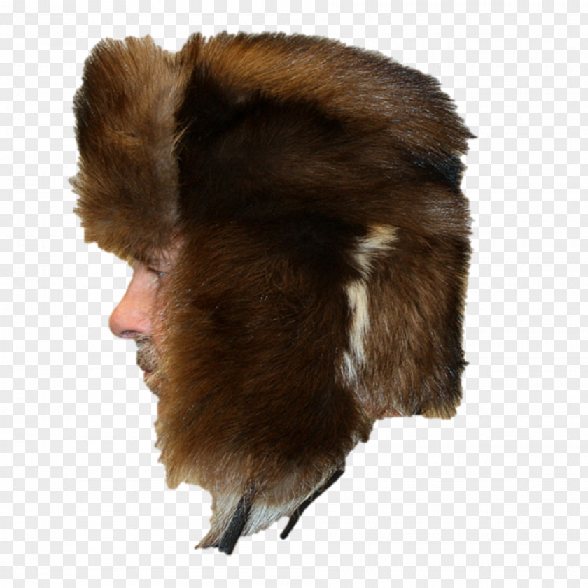 Full Mink Baseball Cap Fur Hat Bearskin PNG