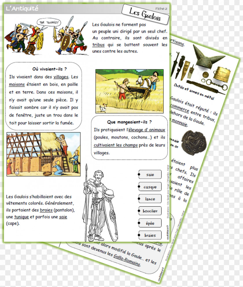 Gaulois Cours élémentaire 1re Année Ancient History Gauls Préparatoire PNG