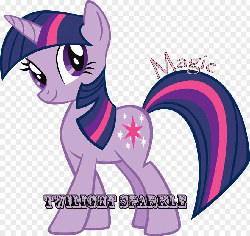 My Little Pony Twilight Sparkle Rainbow Dash Sunset Shimmer PNG