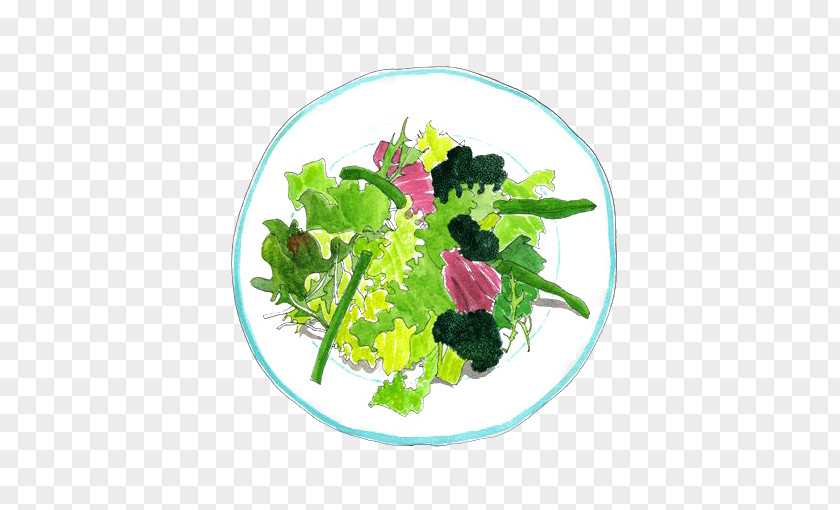 Vegetable Salad Spring Greens Bean Illustration PNG