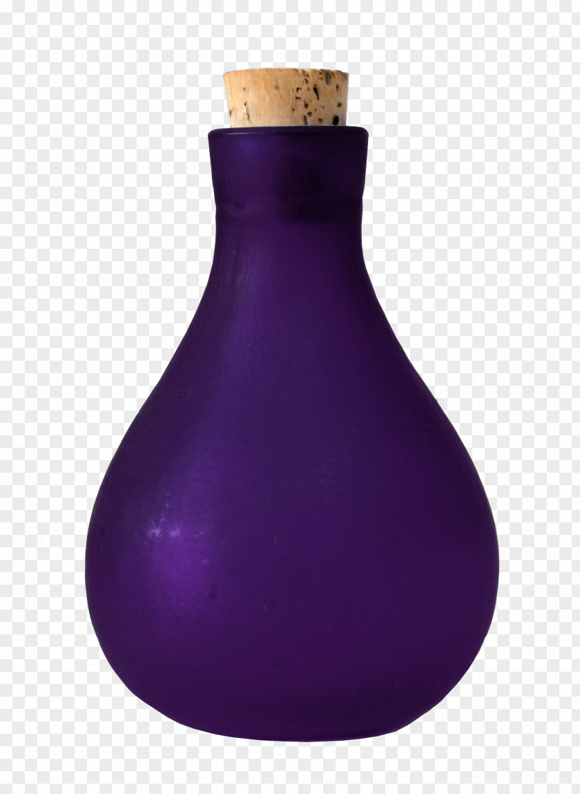 Beautiful Purple Bottle Google Images PNG