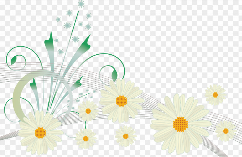 Camomile Flower Desktop Wallpaper Ornament Clip Art PNG