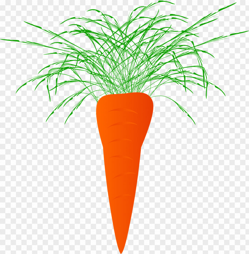 Carrot Juice Plant Vegetable Food PNG
