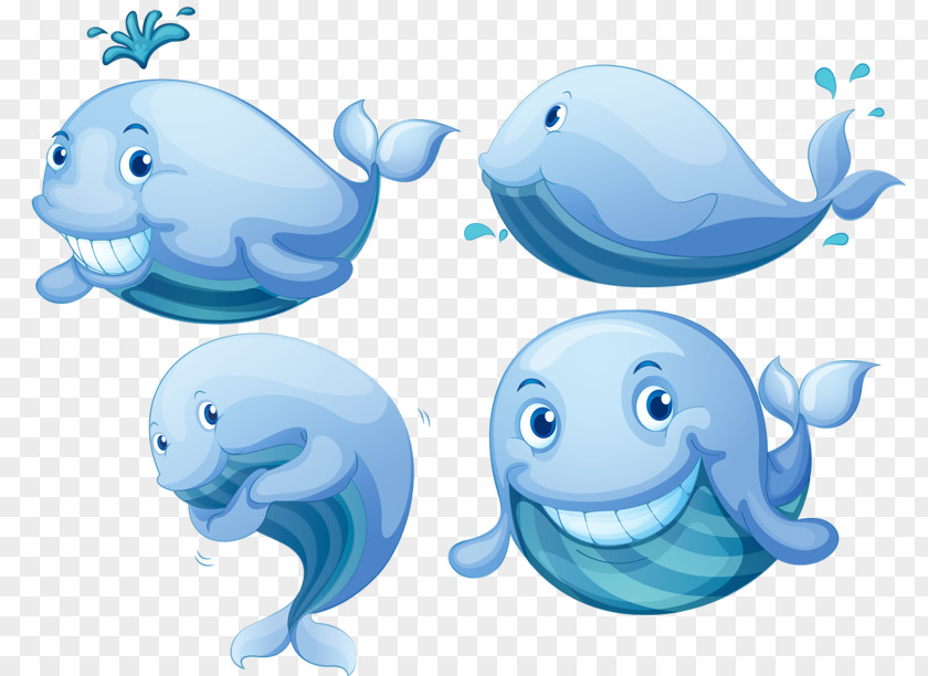 Cartoon Whale Blue Right Whales Euclidean Vector Photography PNG