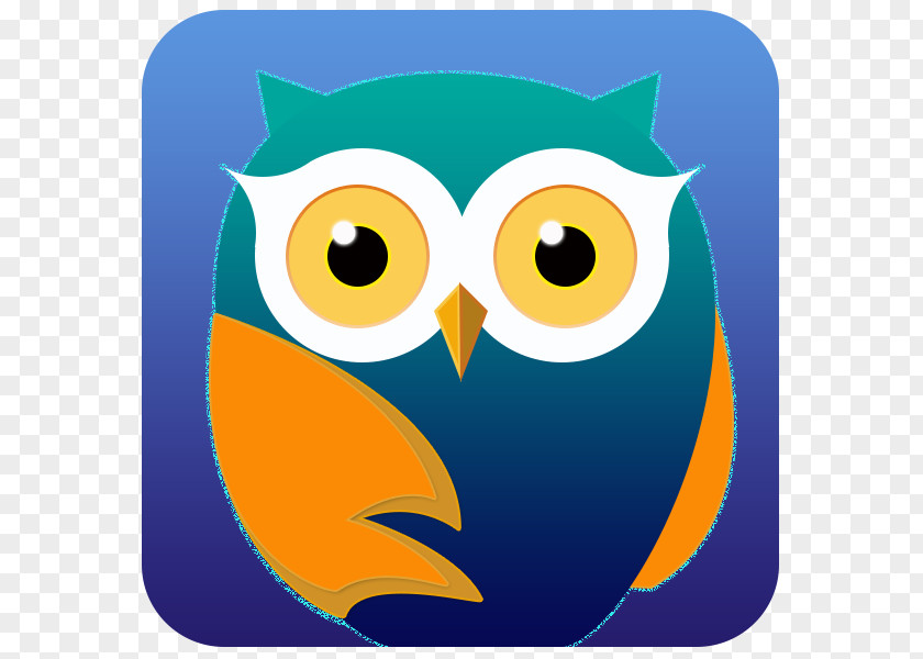 May Owl Clip Art Illustration Cartoon Beak PNG