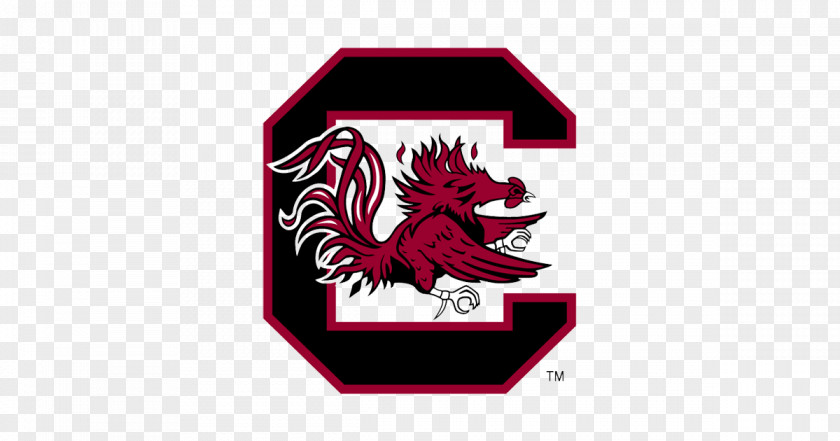 South Carolina Gamecocks Football Women's Basketball Men's Track And Field University Of Upstate PNG