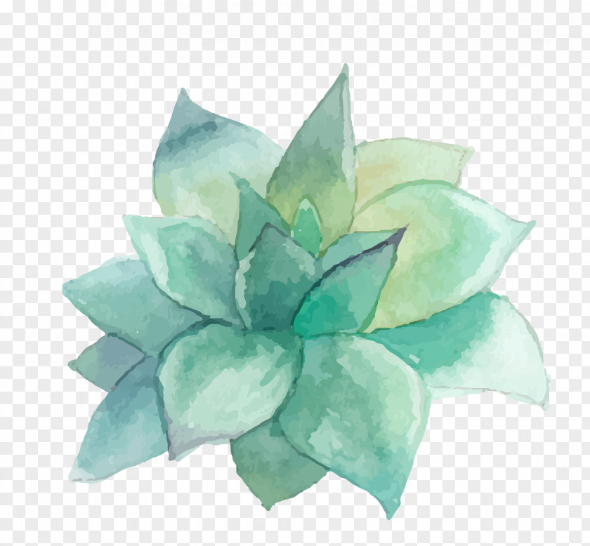 WATERCOLOR LEAF Succulent Plant Watercolor Painting Art Wall Decal PNG