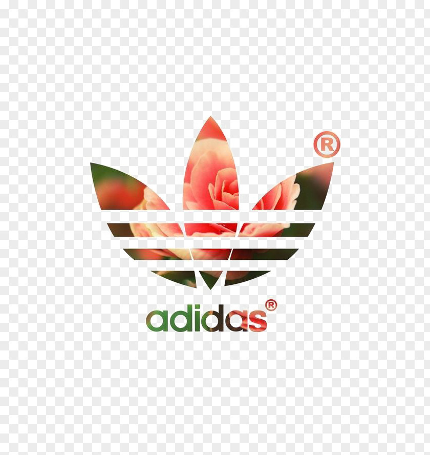 Clover Adidas Originals Earring Shoe Wallpaper PNG