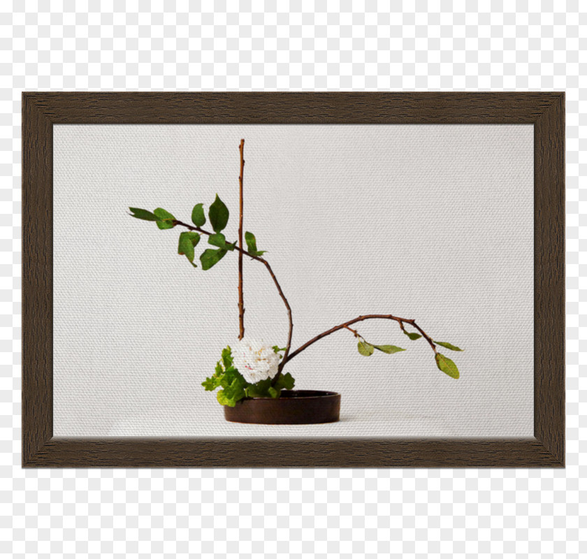 Design Twig Ikebana Floral Plant Stem Picture Frames PNG