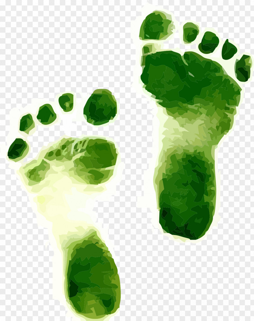 Footprints Carbon Footprint Environmentally Friendly Ecological Sustainability Sustainable Living PNG