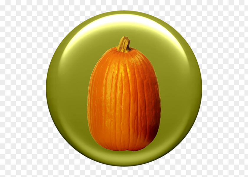 Hand Painted Round Pumpkin Material Jack-o'-lantern Calabaza Gourd PNG