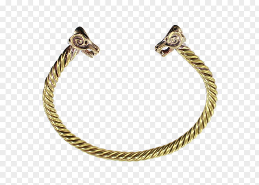 Jewellery Earring Bracelet Gold Chain PNG
