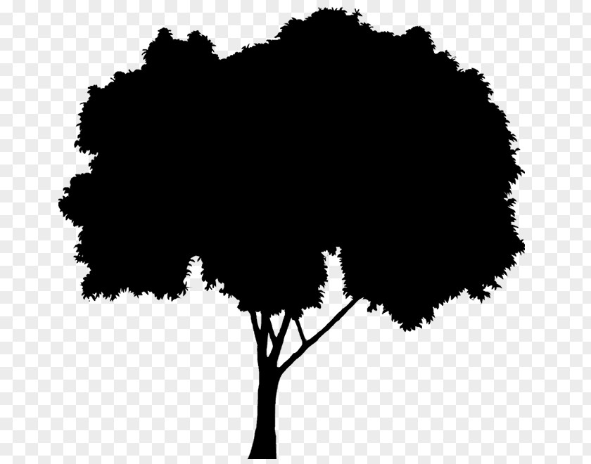 Meditation Tree Yoga Openclipart 0 PNG