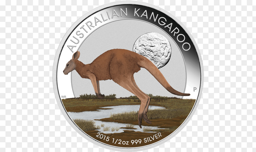 Coin Perth Mint Silver Gold PNG