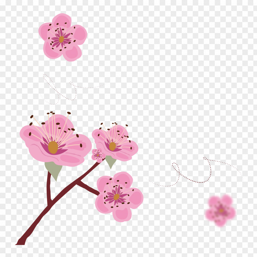 Vector Pink Japanese Cherry Blossoms Blossom Poster Illustration PNG