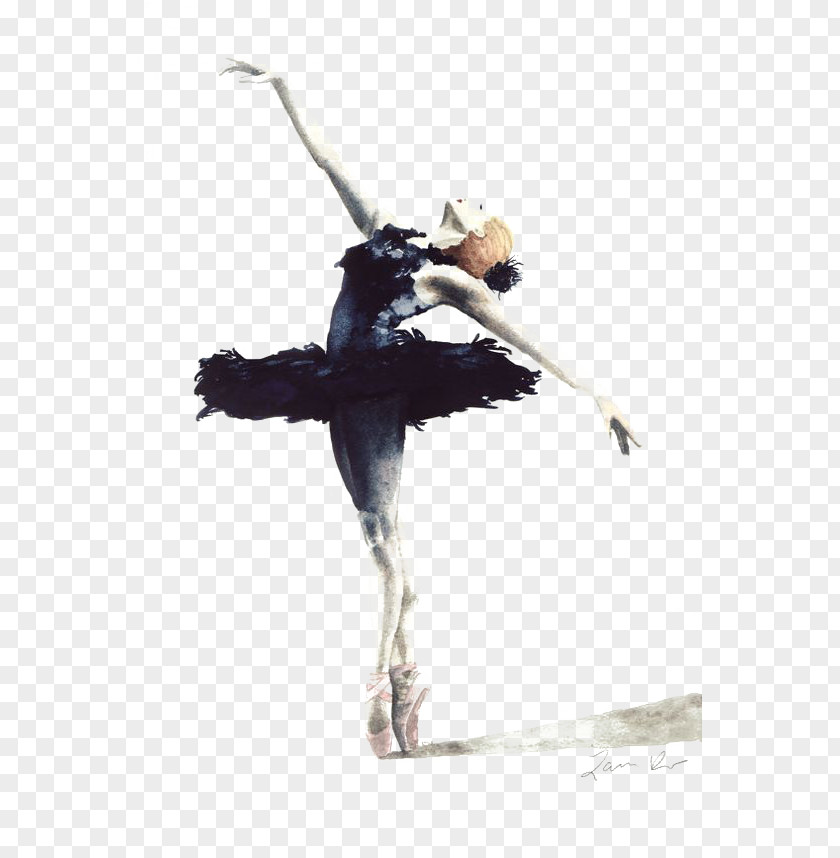 Ballet Dancer Swan Lake Cygnini Drawing PNG