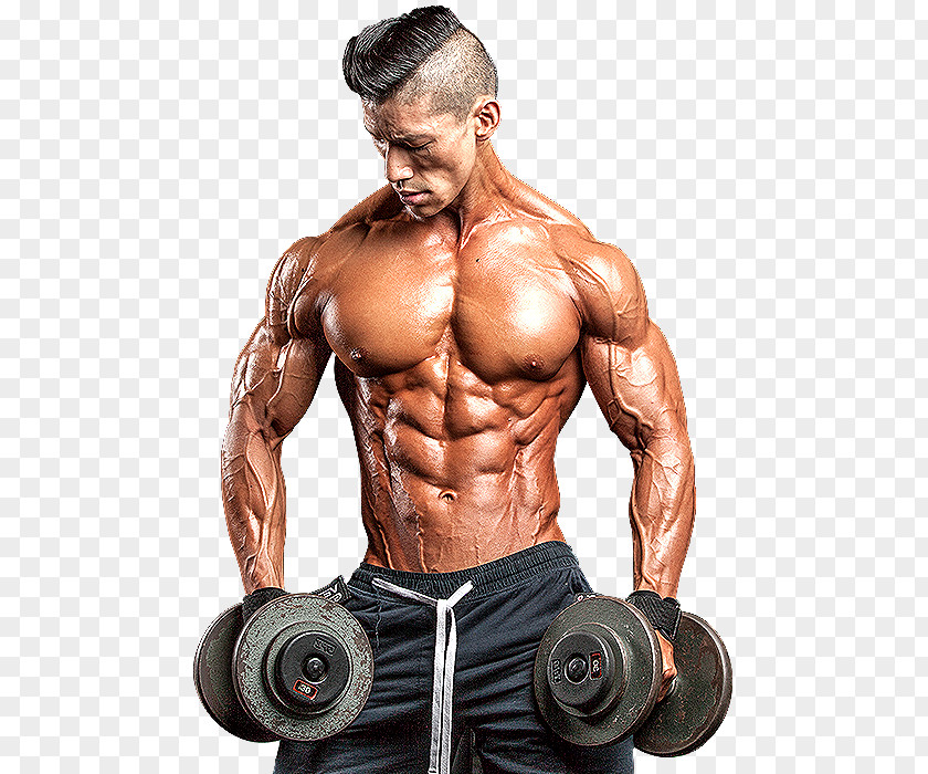 Bodybuilding Men's Health Weight Training Physical Fitness PNG