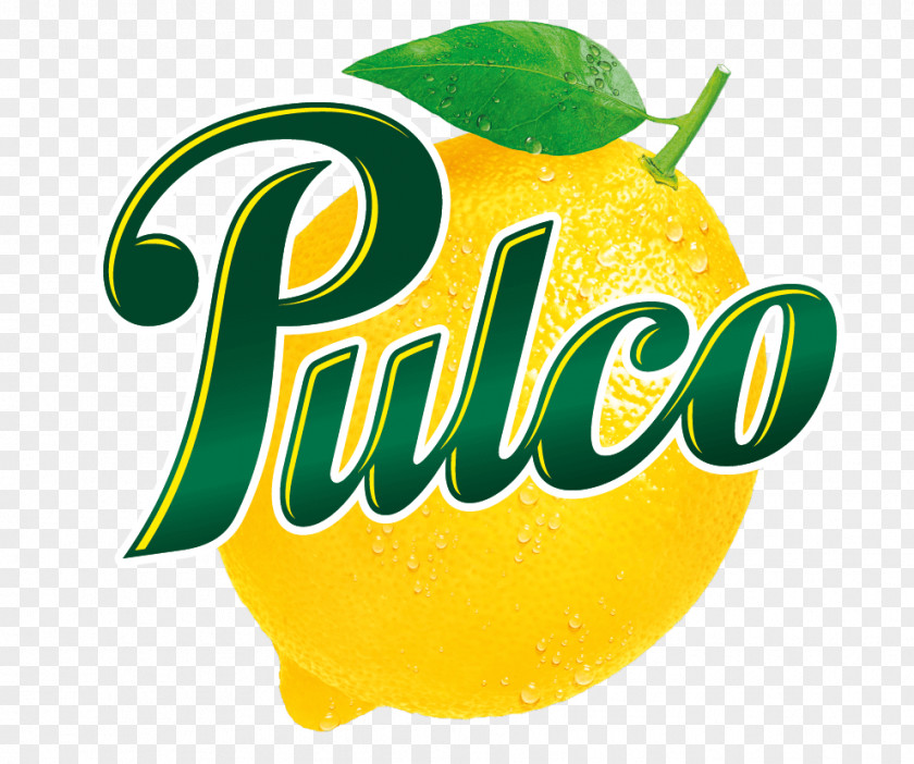 Dry Fruit Sorbet Citronnade Pulco Lemon Drink PNG