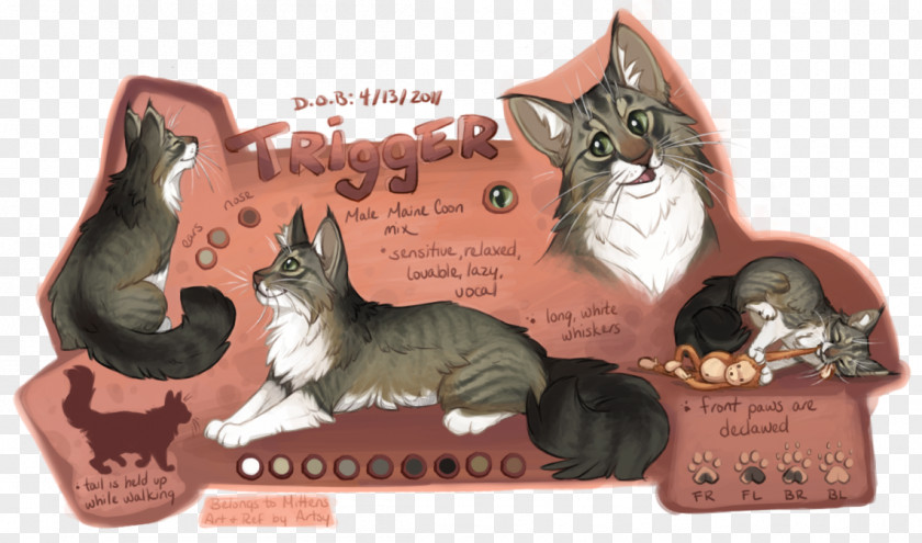 Kitten Whiskers Paw Fauna PNG