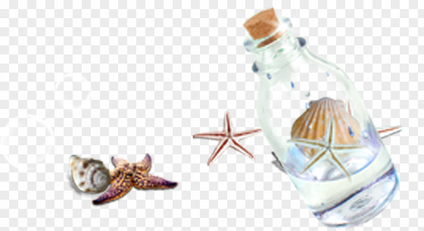 Starfish Creative Pull Drift Bottles Free Bottle Seashell Glass PNG
