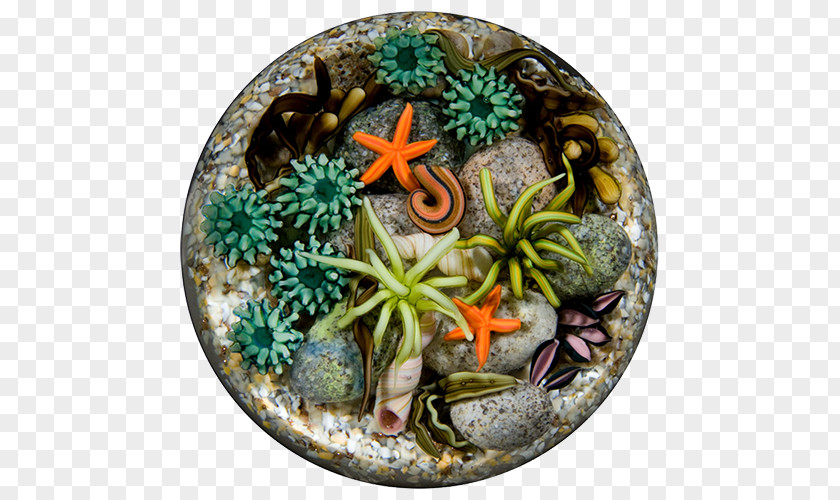 Suculent Paperweight Glass Art Tide Pool PNG