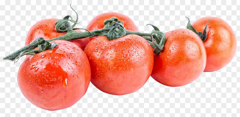 Tomato Plum Aubrac Vegetarian Cuisine PNG