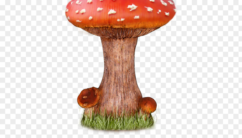 Agaricus Agaricaceae Mushroom Cartoon PNG